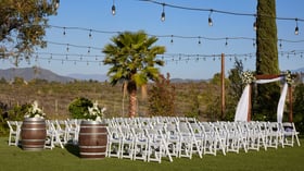 White ceremony chairs and wine barrel florals under string lights with vineyard and palm tree views at Bel Vino Winery.
