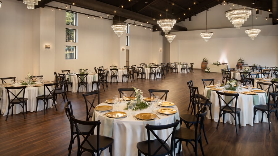 02 - Black Forest - BLAF - Grand Ballroom - Reception