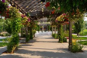 11 - Brookside Gardens - BGDN - Ceremony Halo - Outdoor Ceremony