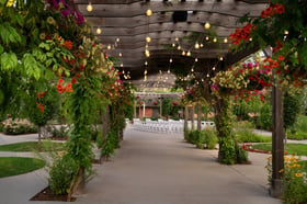 44 - Brookside Gardens - BGDN - Garden Parlor - Photo Opportunity