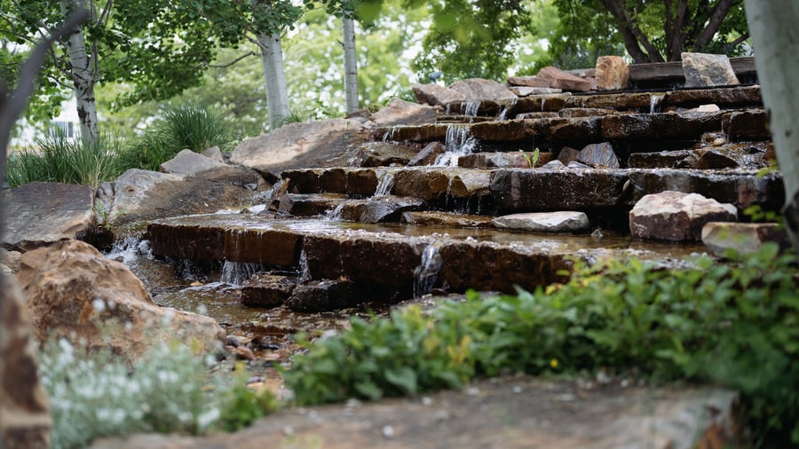 Brookside Gardens by Wedgewood Weddings (11)