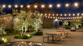 Outdoor patio illuminated by glowing string lights and firepits with wooden benches and landscaped trees at Canopy Grove in Escondido, CA.
