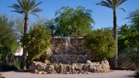 Natural stone waterfall surrounded by palm trees and desert landscaping at Colby Falls wedding venue in Arizona.