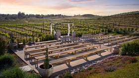 1 - Danza Del Sol Winery - Danz - Vineyard Ceremony - Ceremony