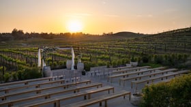 10 - Danza Del Sol Winery - Danz - Vineyard Ceremony - Ceremony