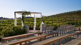 15 - Danza Del Sol Winery - Danz - Vineyard Ceremony - Ceremony