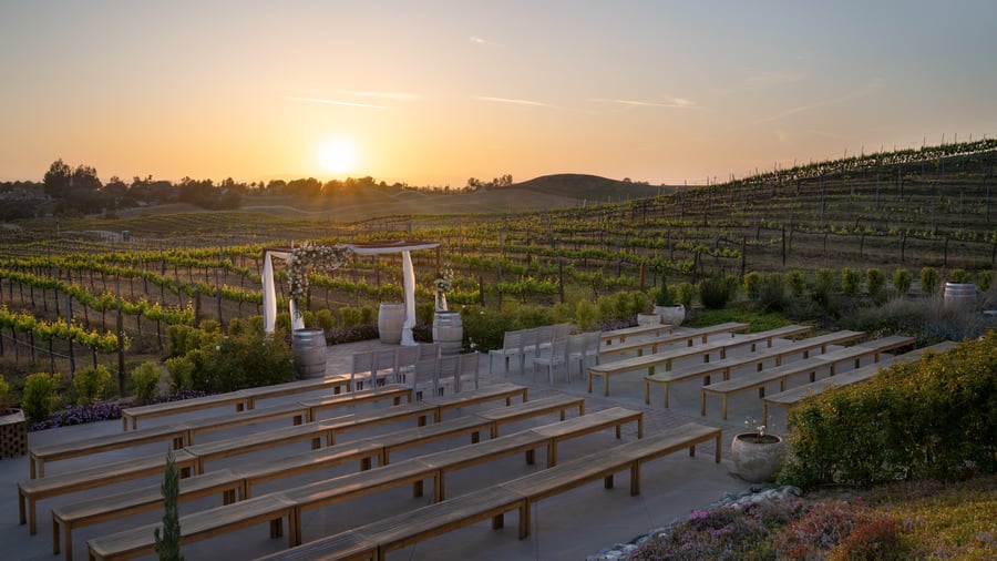 17 - Danza Del Sol Winery - Danz - Vineyard Ceremony - Ceremony
