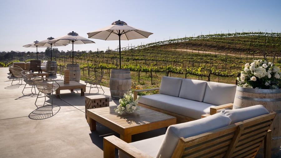 24 - danza Del Sol Winery - Danz - Vineyard Patio - Cocktail Hour