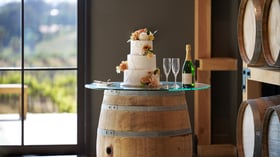28 - Danza Del Sol Winery - Danz - Barrel Room - Cake