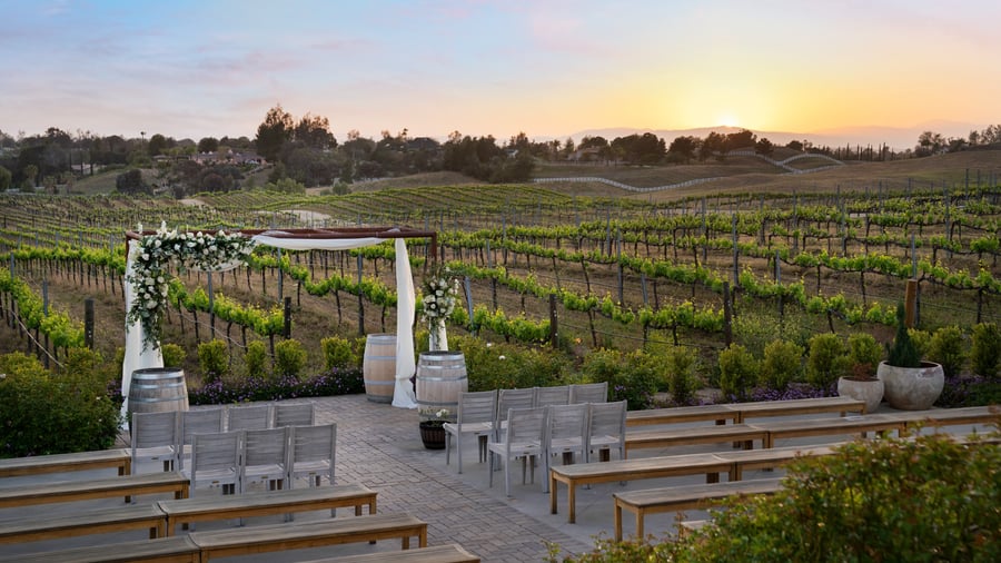 30 - Danza Del Sol Winery - Danz - Vineyard Ceremony - Ceremony