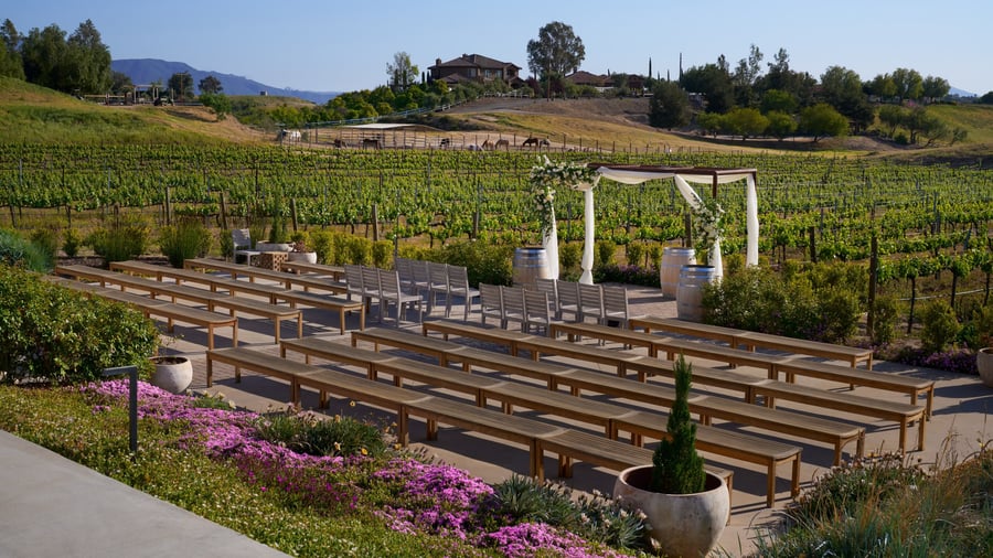 4 - Danza Del Sol Winery - Danz - Vineyard Ceremony - Ceremony