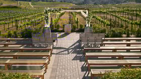 6 - Danza Del Sol Winery - Danz - Vineyard Ceremony - Ceremony