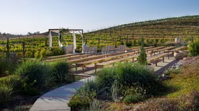 7 - Danza Del Sol Winery - Danz - Vineyard Ceremony - Ceremony