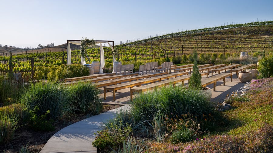 7 - Danza Del Sol Winery - Danz - Vineyard Ceremony - Ceremony
