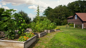 22 - Fern Hill Barn - FERN - Fern Hill Barn Outdoor - Outdoor Location
