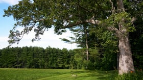 23 - Fern Hill Barn - FERN - Fern Hill Barn Outdoor - Outdoor Location