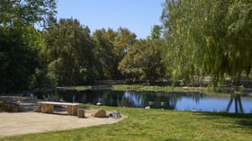Tranquil natural pond at Galway Downs featuring wildlife including ducks, wooden benches, lush landscaping, and mature trees creating a peaceful setting for wedding photography in Temecula, California