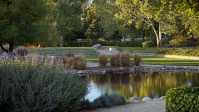 Peaceful water feature at Galway Downs wedding venue with purple wildflowers, ornamental grasses, stone pathways, and mature trees creating a serene garden setting in Temecula, California