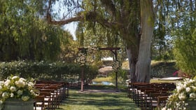 Elegant outdoor wedding ceremony setup at The Meadows, Galway Downs featuring rustic wooden chairs, white floral arrangements, and a romantic arch under majestic willow trees in Temecula, California