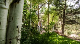 Bride and groom sharing intimate moment on black iron railing bridge surrounded by lush aspen and pine trees in natural wooded setting at Lionscrest Manor in Lyons, Colorado