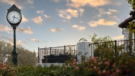 7 - San Clemente Shore - SACL - Outdoors - Details Shot_