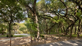 Scenic Springs outdoor ceremony location in Helotes, Texas, with white chairs and a floral arch beneath sprawling oak trees.