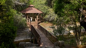 Scenic Springs outdoor forest lawn wedding ceremony in Helotes, Texas, with floral arch and gazebo backdrop.