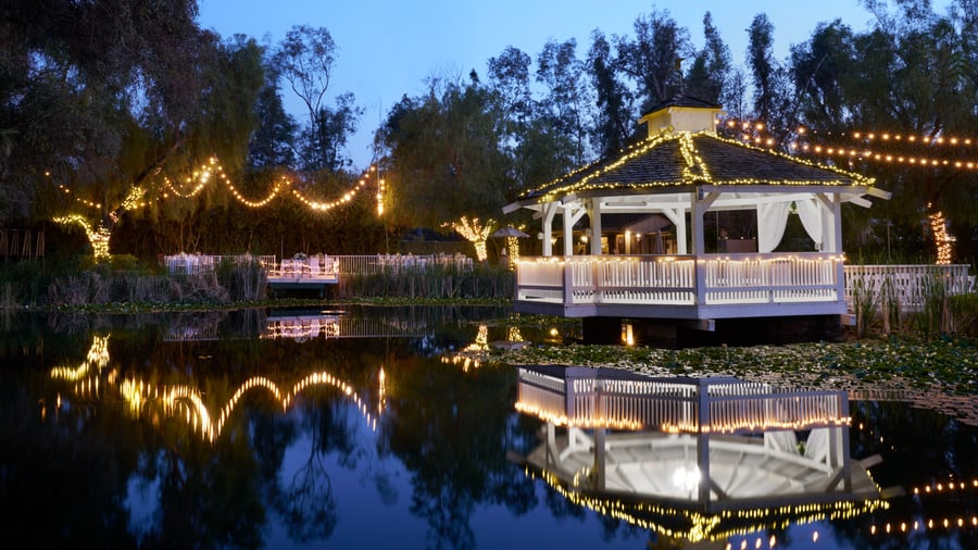 12 - The Orchard - ORCH - The Lily Pond - Night View of the Pond