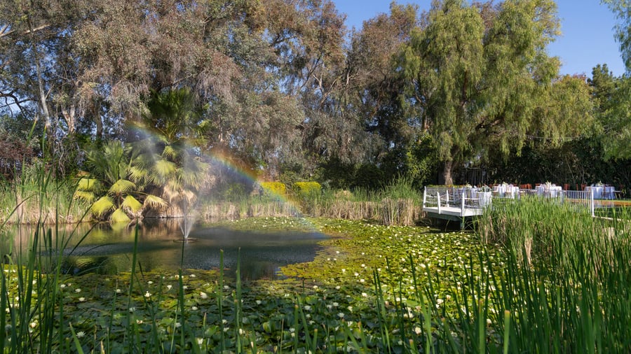 13 - The Orchard - ORCH - The Lily Pond - Rainbow in the Pond Detail