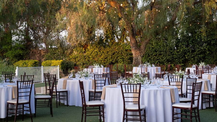 16 - The Orchard - ORCH - Reception Lawn - reception