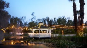 20 - The Orchard - ORCH - The Lily Pond - Night View of the Pond
