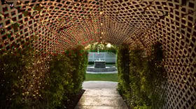 29 - The Orchard - ORCH - Oleander Way - Tunnel towards the Ceremony