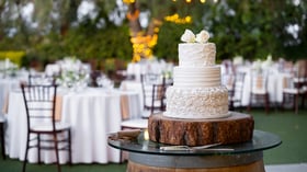 30 - The Orchard - ORCH - Reception Lawn - Cake Detail