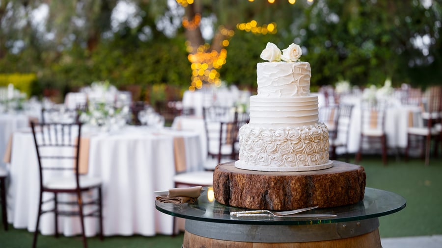 30 - The Orchard - ORCH - Reception Lawn - Cake Detail