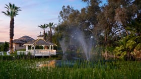 8 - The Orchard - ORCH - The Lily Pond - Outdoor Wide Shoot