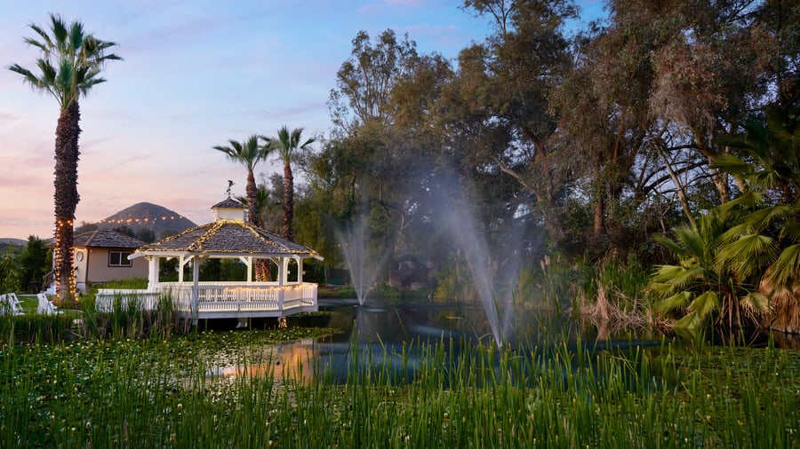 8 - The Orchard - ORCH - The Lily Pond - Outdoor Wide Shoot