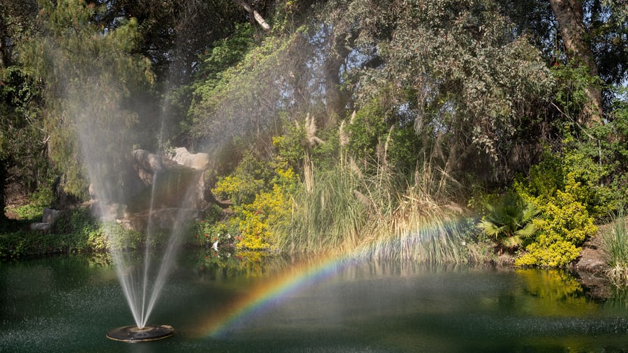 9 - The Orchard - ORCH - The Lily Pond - Fountain Shot