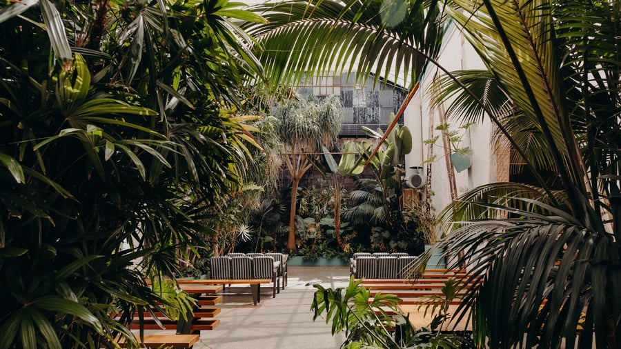 Valentine DTLA by Wedgewood Weddings (36)
