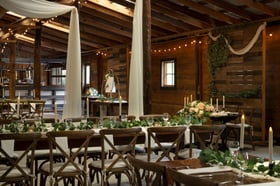 10 - Vinewood Stables - VINE - Barn Stables - Reception