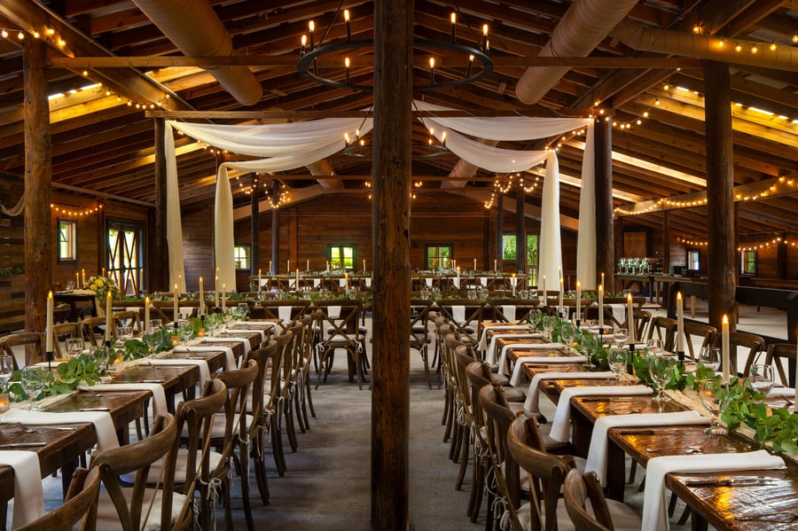 21 - Vinewood Stables - VINE - Barn Stables - Reception