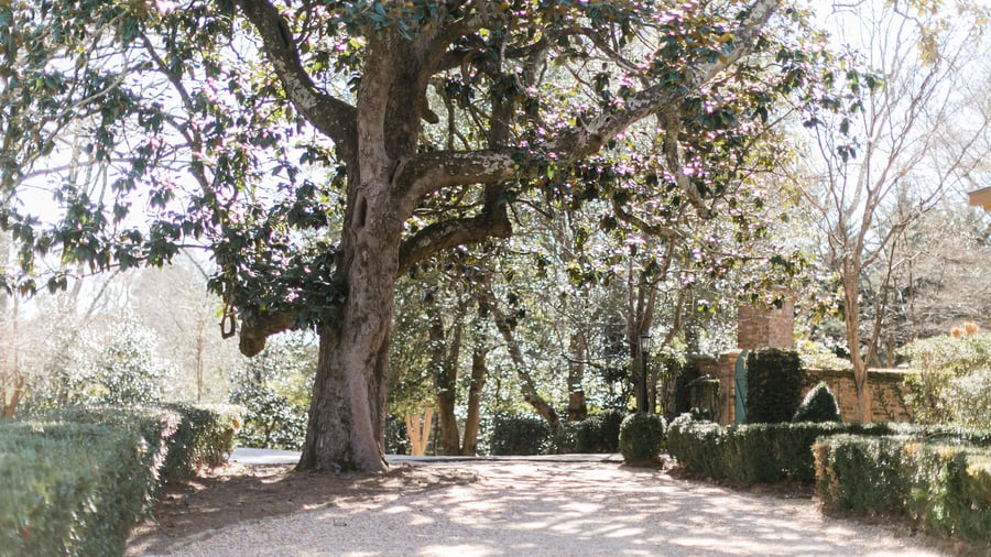 Vinewood Stables by Wedgewood Weddings (14)