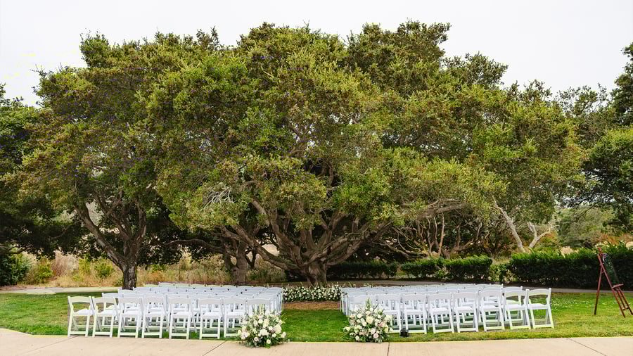 Gorgeous greenery and garden - Carmel Fields by Wedgewood Events