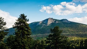 Stunning forest and mountains - Della Terra by Wedgewood Events