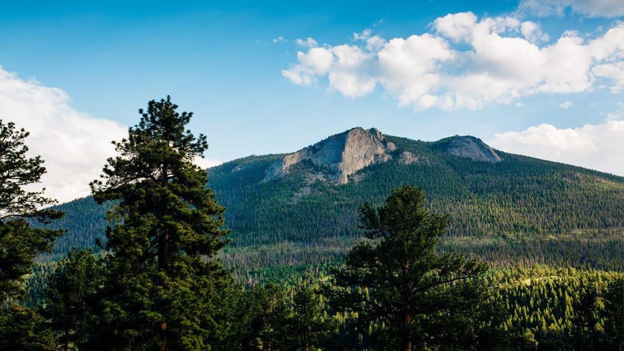 Stunning forest and mountains - Della Terra by Wedgewood Events