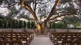 Breathtaking outdoor ceremony space showcasing a magnificent heritage oak tree adorned with romantic string lights and a modern hexagonal wedding arch, creating a naturally dramatic focal point for exchanging vows