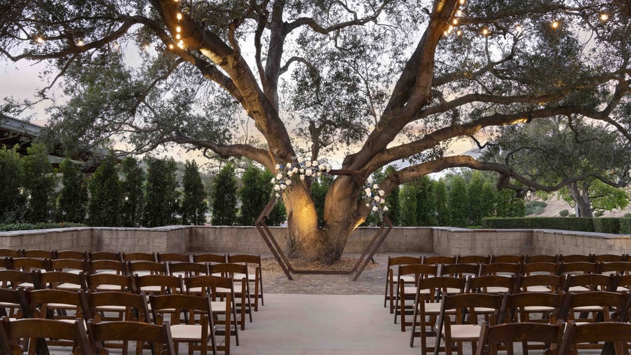 Breathtaking outdoor ceremony space showcasing a magnificent heritage oak tree adorned with romantic string lights and a modern hexagonal wedding arch, creating a naturally dramatic focal point for exchanging vows