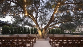 Enchanting twilight ceremony setting beneath a majestic heritage oak tree adorned with romantic string lights, featuring a modern hexagonal ceremony arch and intimate rows of wooden chairs creating a magical woodland wedding atmosphere