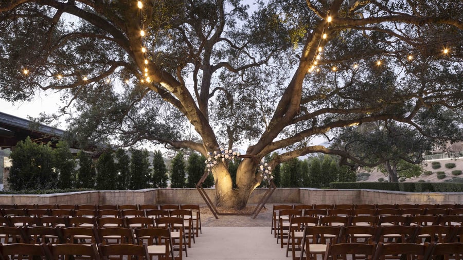 Enchanting twilight ceremony setting beneath a majestic heritage oak tree adorned with romantic string lights, featuring a modern hexagonal ceremony arch and intimate rows of wooden chairs creating a magical woodland wedding atmosphere