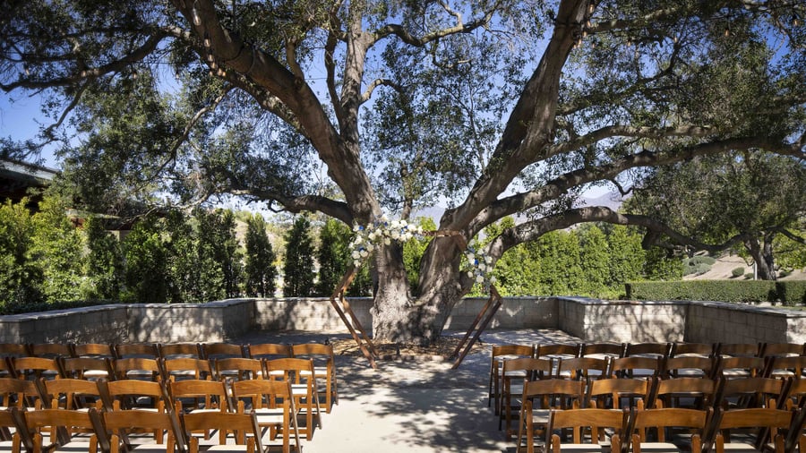 Wide-angle view of picturesque tree-framed ceremony site, showcasing pristine manicured grounds, elegant wooden chairs, and expansive hillside vistas for unforgettable wedding photography
