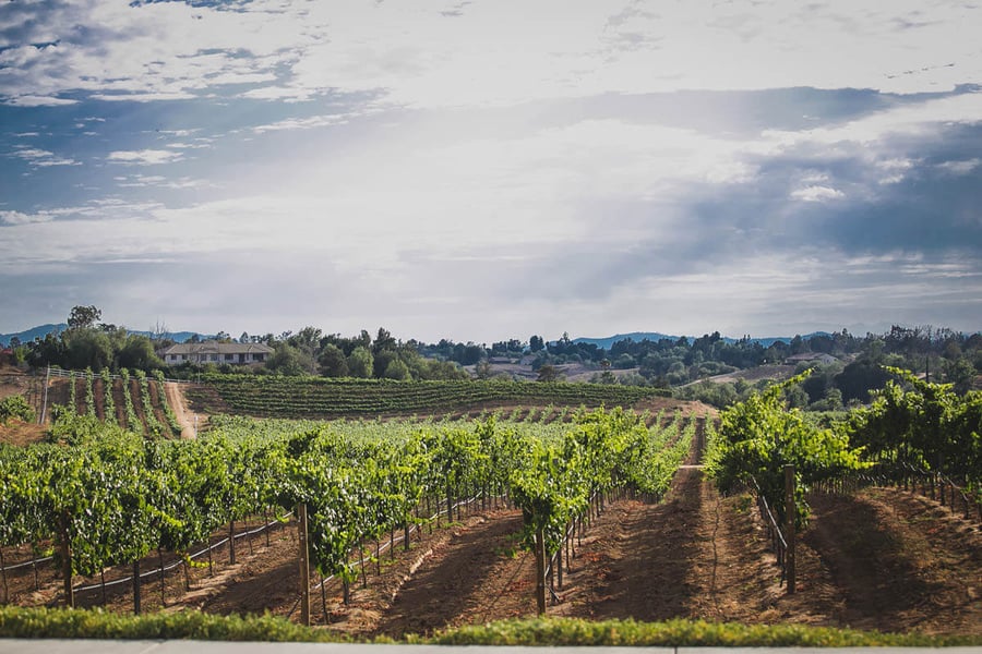 danza-del-sol-winery-by-wedgewood-events-1